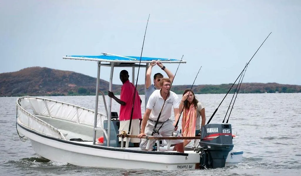 Pineapple Bay Resort Bulago Island