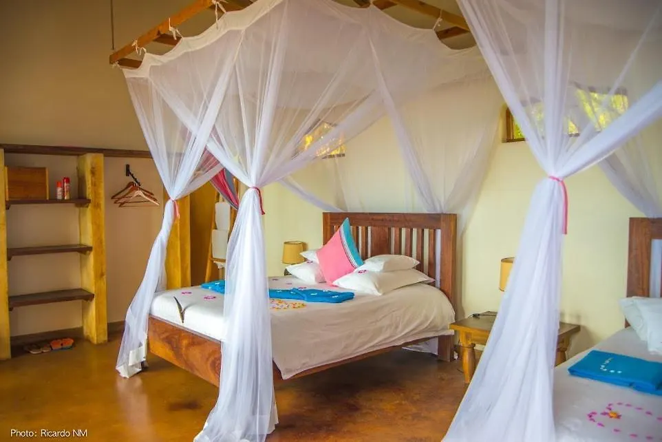 Pineapple Bay Resort Bulago Island Uganda