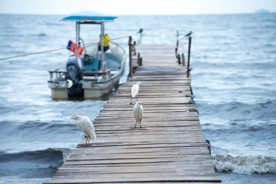 Pineapple Bay Resort Bulago Island