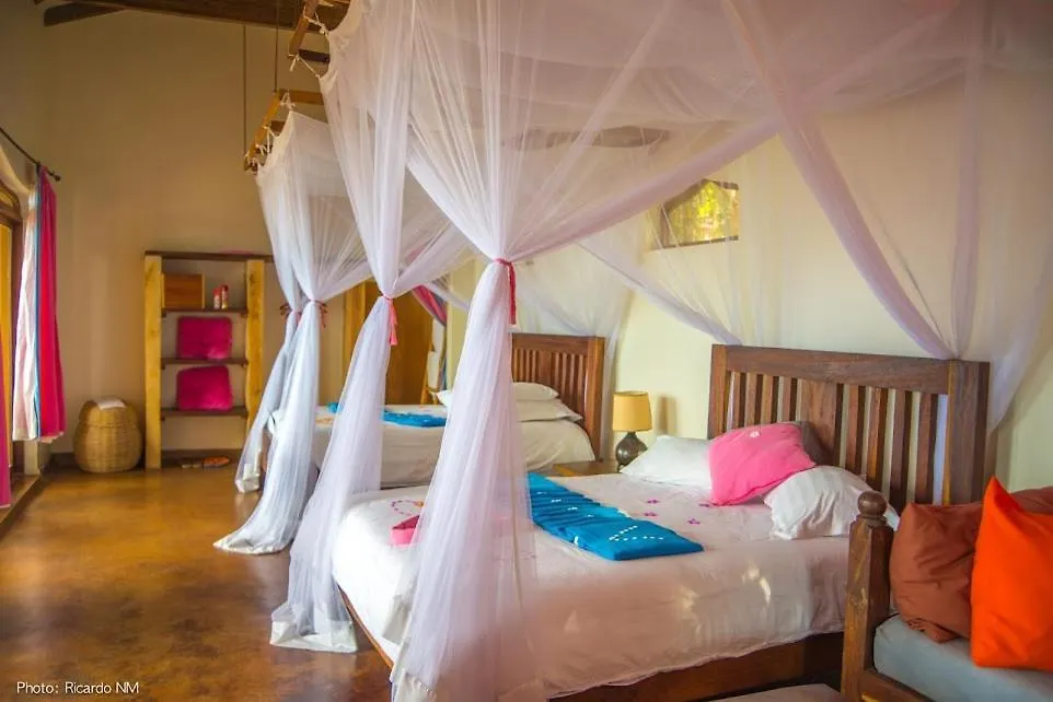 Pineapple Bay Resort Bulago Island Uganda