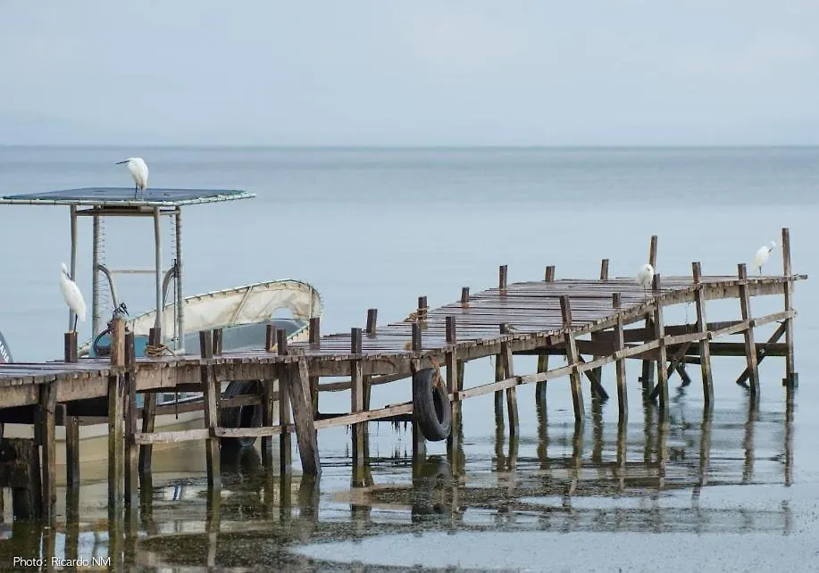 Pineapple Bay Resort Bulago Island