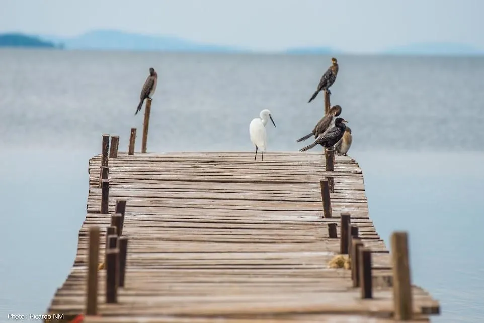 Pineapple Bay Resort Bulago Island Uganda