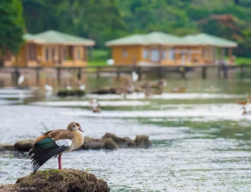 Pineapple Bay Resort Bulago Island 0*,